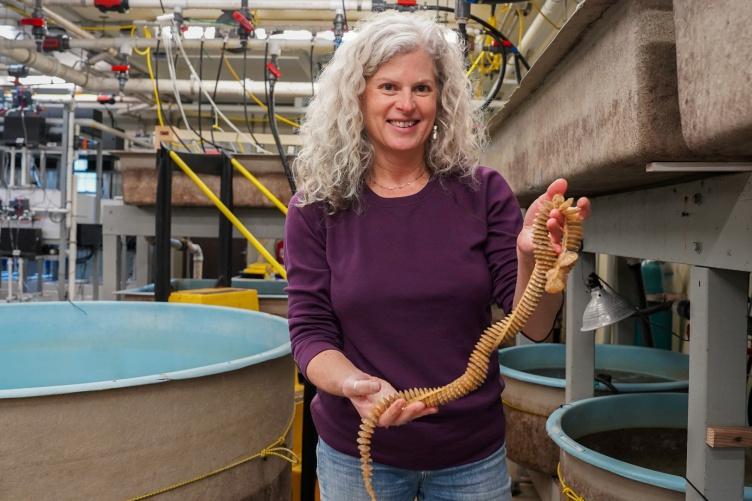 UNH researcher Elizabeth Fairchild standing at the Coastal Marine Lab, holding several whelk egg casings.